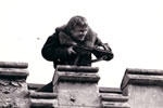 David Wood in Lindsay Anderson's IF... (Memorial Enterprises)